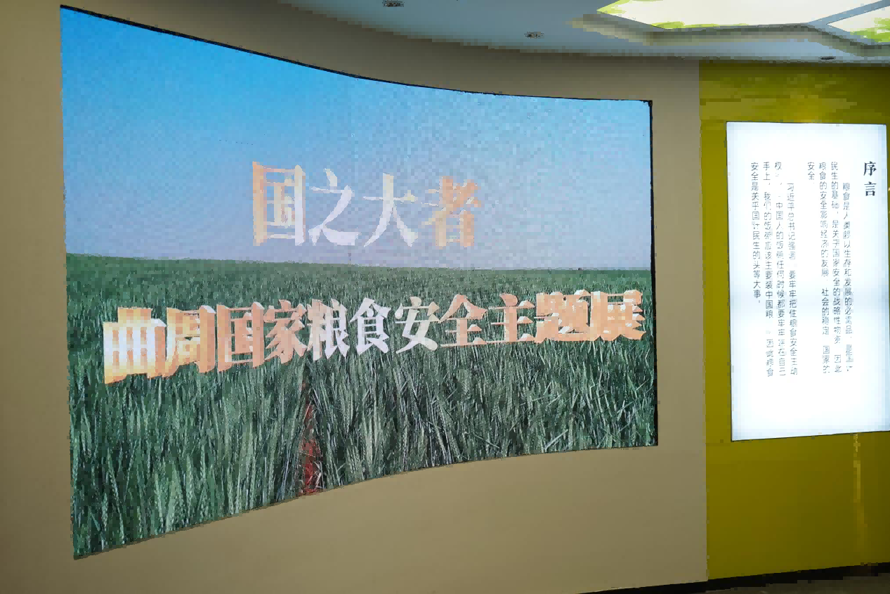 图片19(1).png