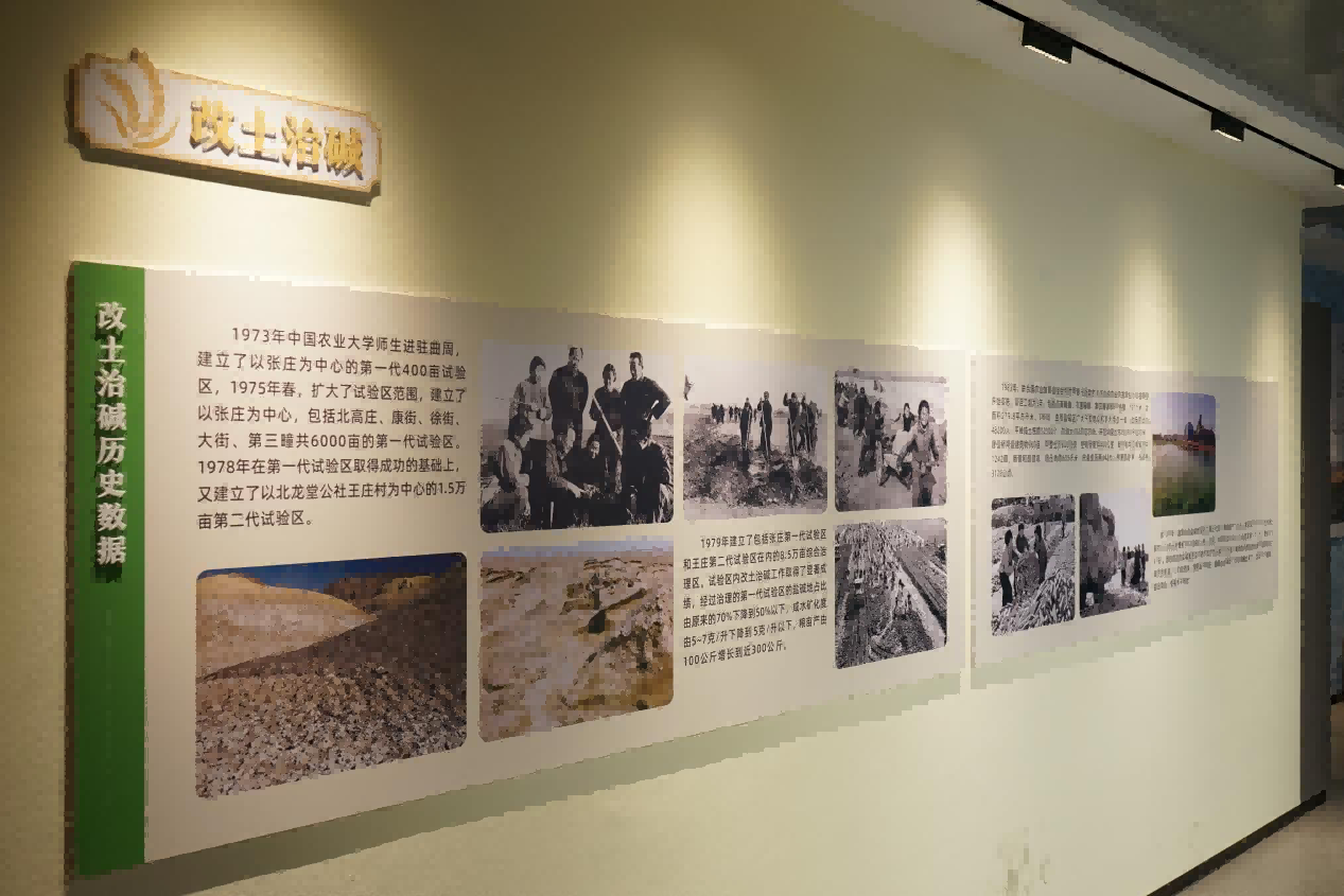 图片20(1).png