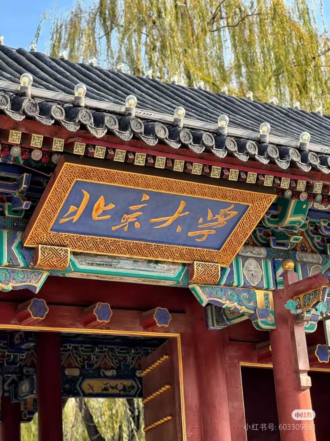 微信图片_20250331094313(1).jpg
