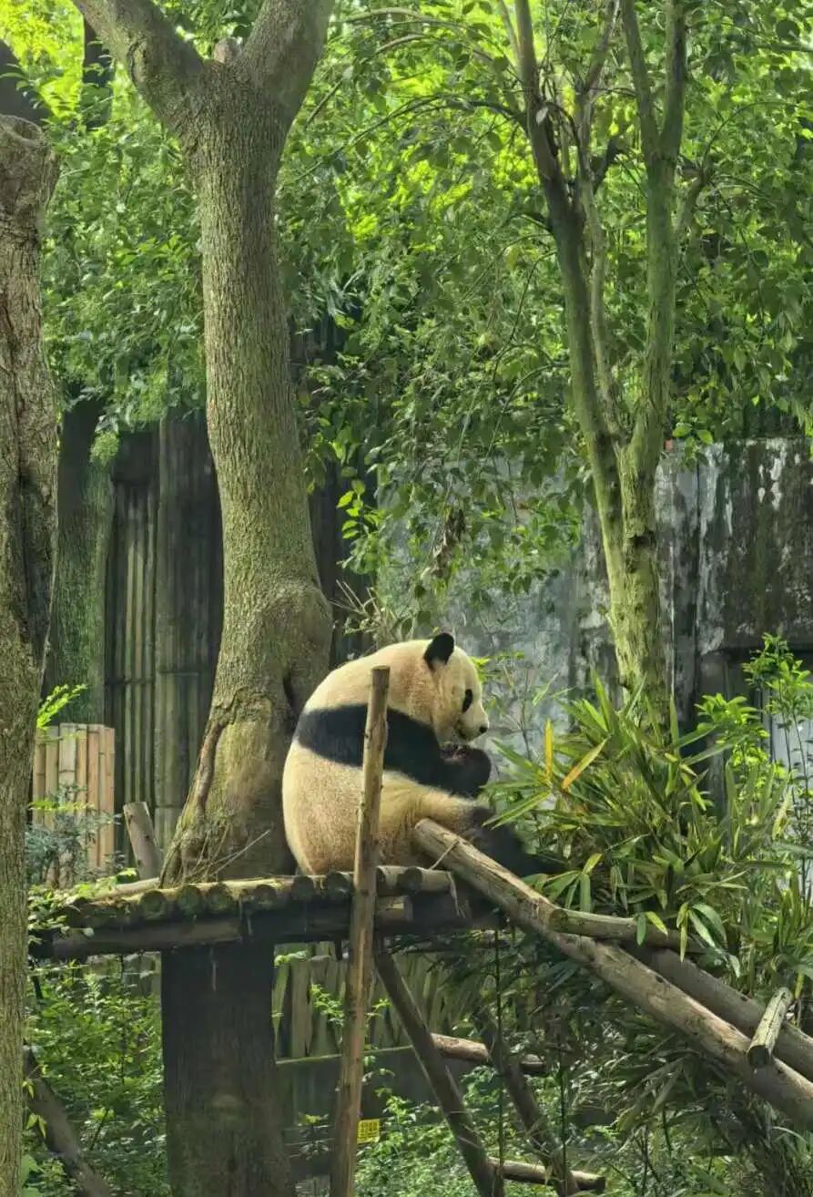 1758853044320146.jpg 17.jpg