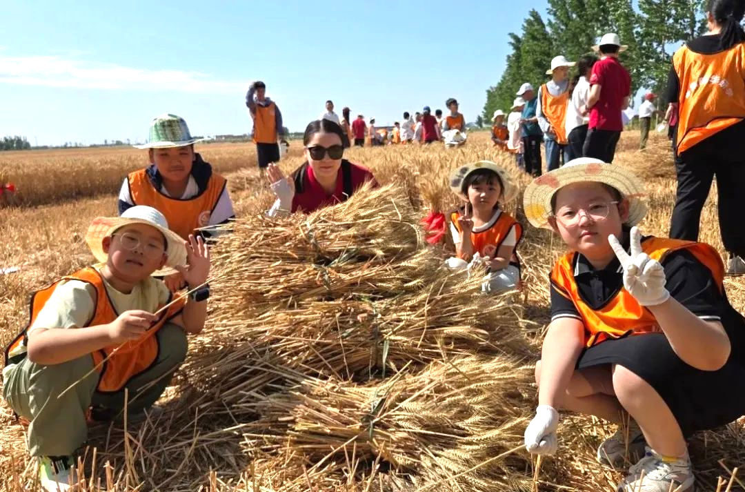 1758857440612508.png 64.png