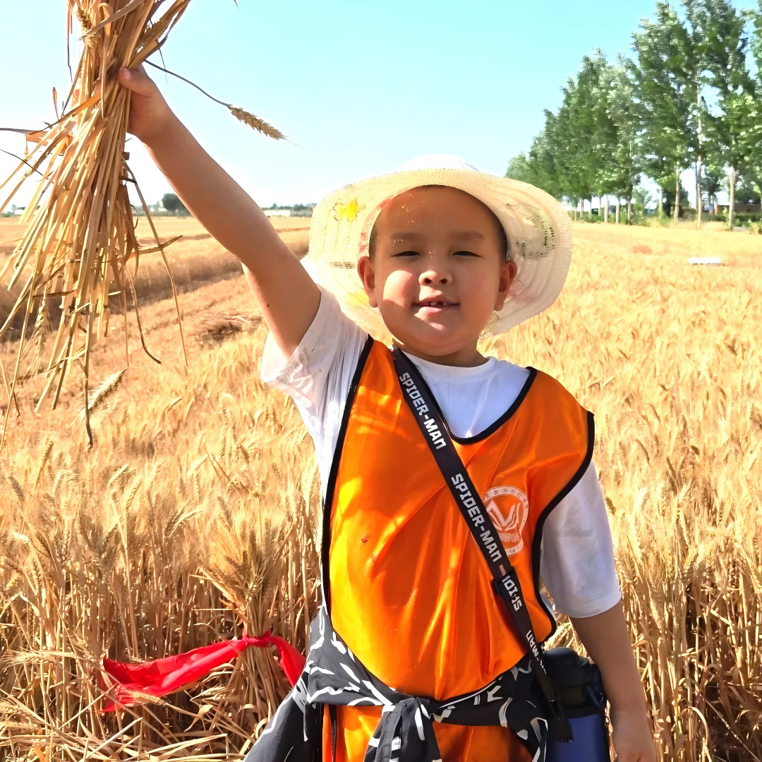 1758865537612640.png 65.png