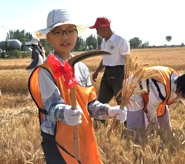 1758865551537879.png 66.png