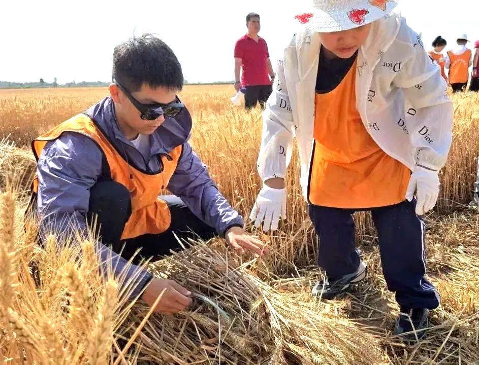 1758865587676807.png 69.png