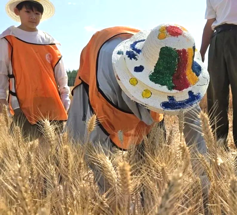 1758865607166054.png 68.png