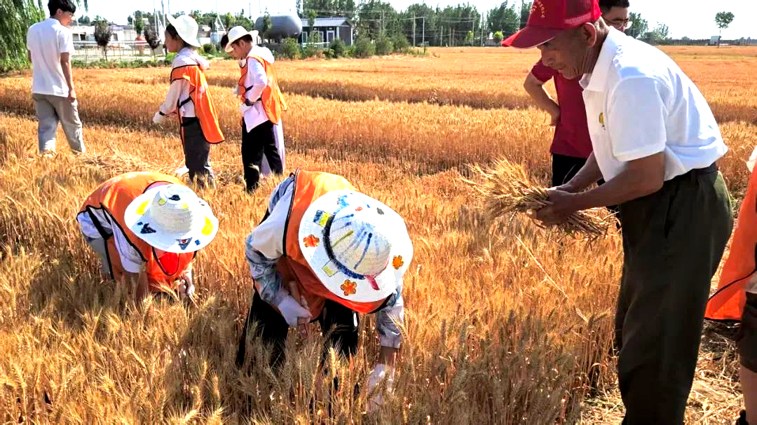 1758865632826123.png 70.png