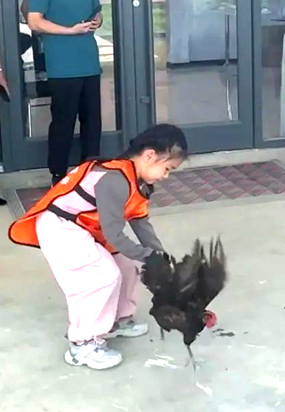 1758865801538761.png 1758865801538761.png