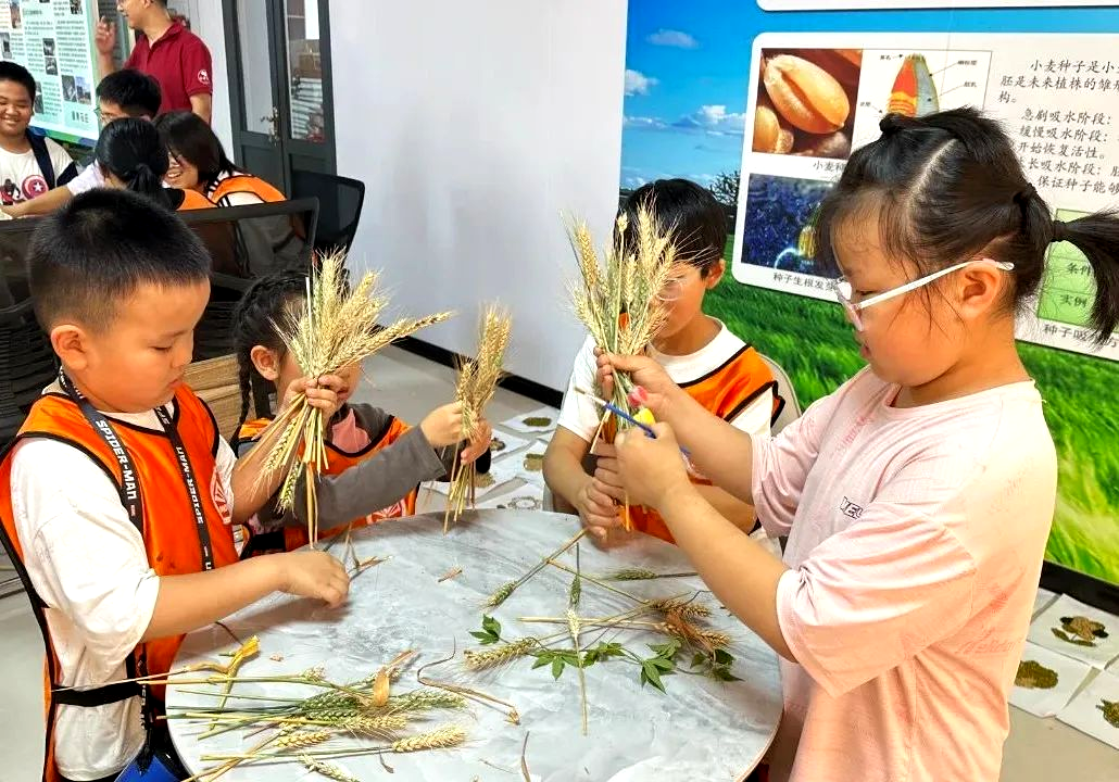 1758865929387356.png 81.png