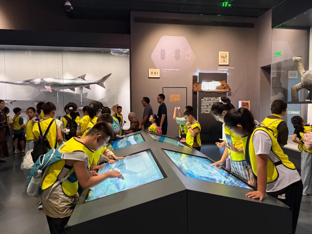 1758867300539117.jpg 116.jpg